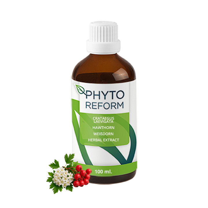 Meidoorn (Crataegus Laevigata)