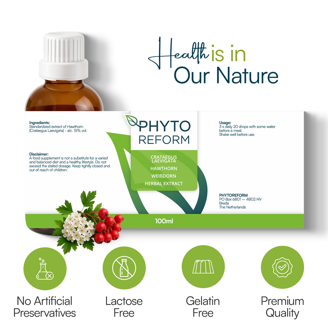 Meidoorn (Crataegus Laevigata)