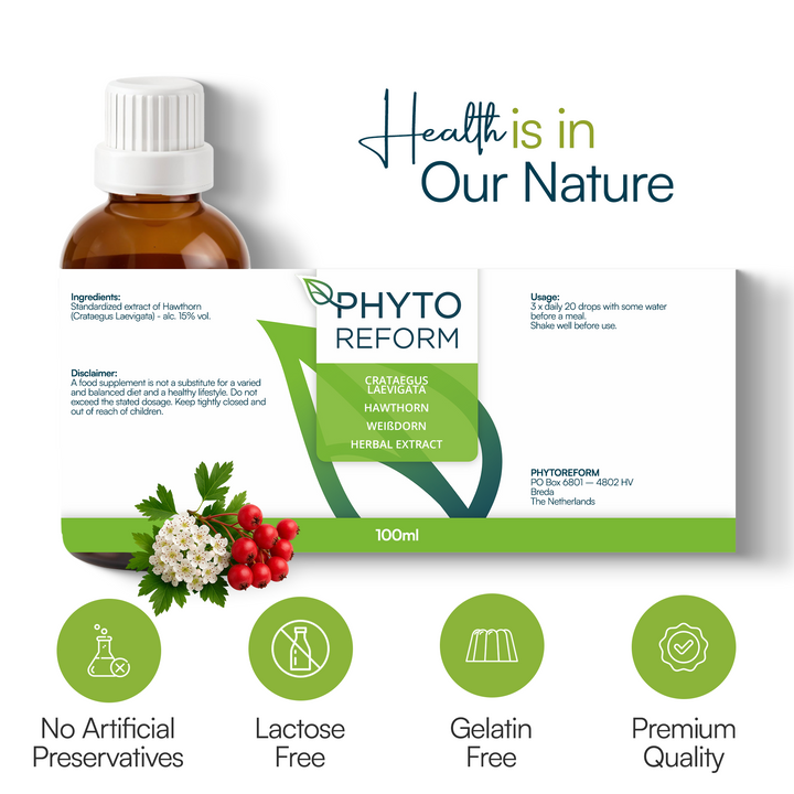 Meidoorn (Crataegus Laevigata)