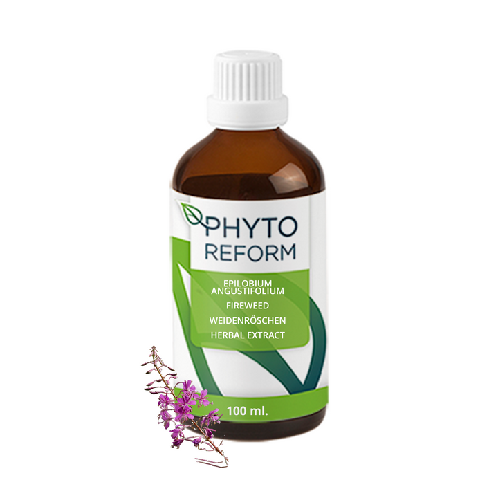 Wilgenroosje (Epilobium Angustifolium)