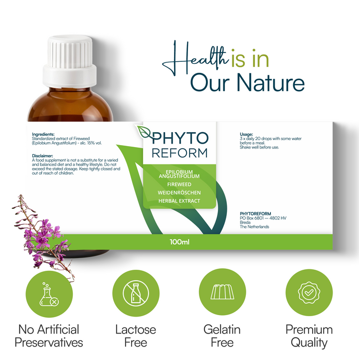 Wilgenroosje (Epilobium Angustifolium)