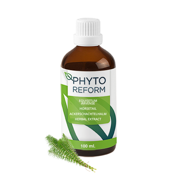 Heermoes - Paardenstaart (Equisetum Arvense)