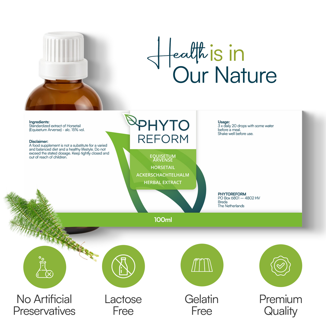 Heermoes - Paardenstaart (Equisetum Arvense)